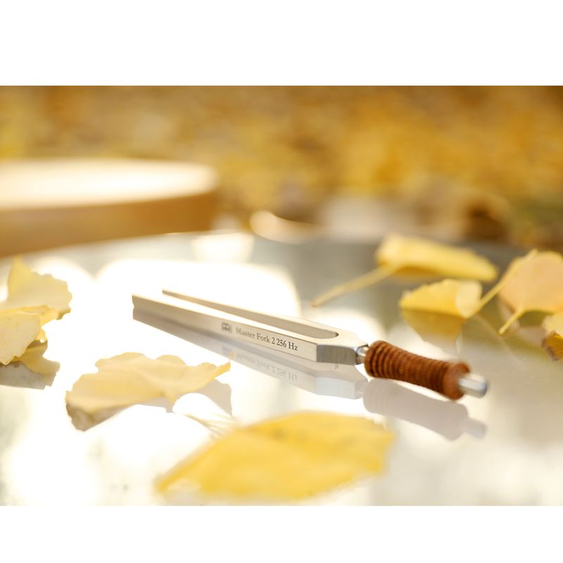 Meinl TTF-256 Therapy Tuning Fork, Master Fork 2. 256 Hz