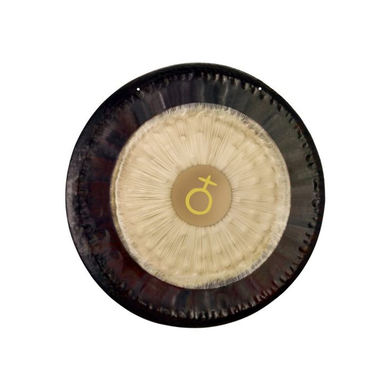 Meinl G28-E-PL 28'' Earth Gong Platonic Year; 172,06 Hz, F2