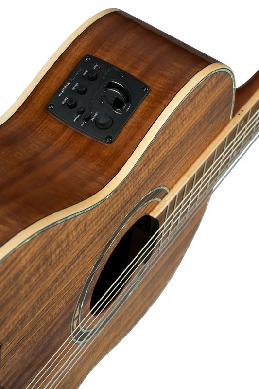 Ortega RE30TH-ACA Nylonstr. gitar m.mik, 30th Anniversary