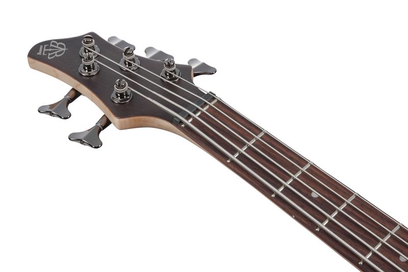 Ibanez BTB605-TGF Elbas, BTB 5-strängad