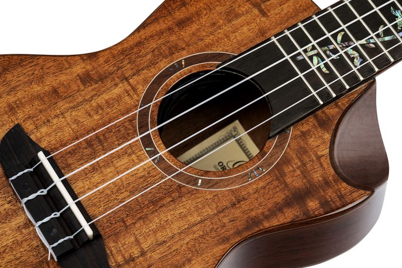 Ortega RUET-ACA Concert ukulele m.mik, o gigbag, Elite, Acacia