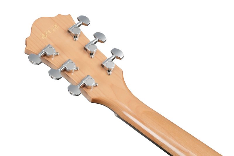 Ibanez AE170-NTR Western gitar m/mik, AE Performer
