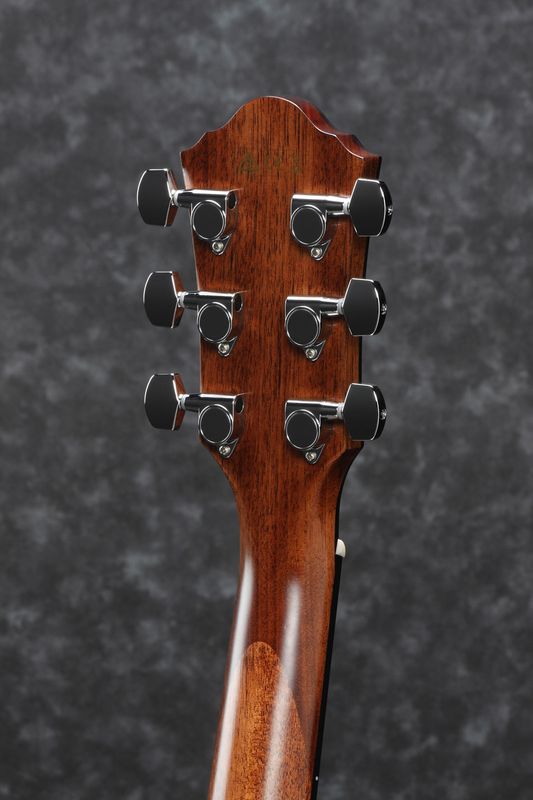 Ibanez AEG200-LGS Ibanez western m.mik