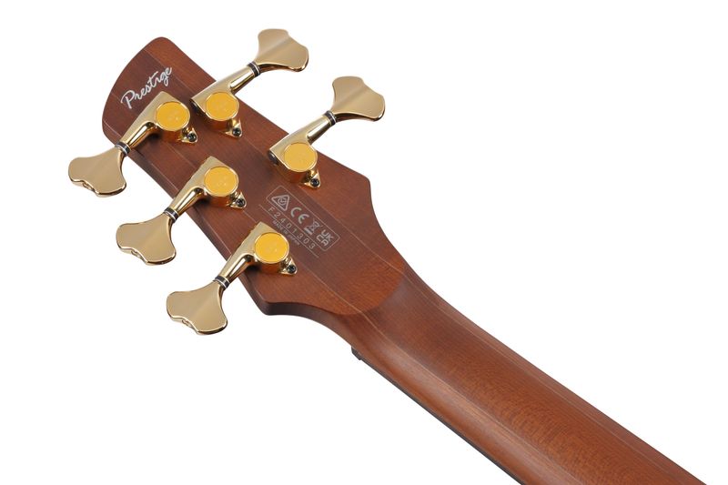 Ibanez SR6605-GFB Elbas med Hardcase, Prestige 5-str.