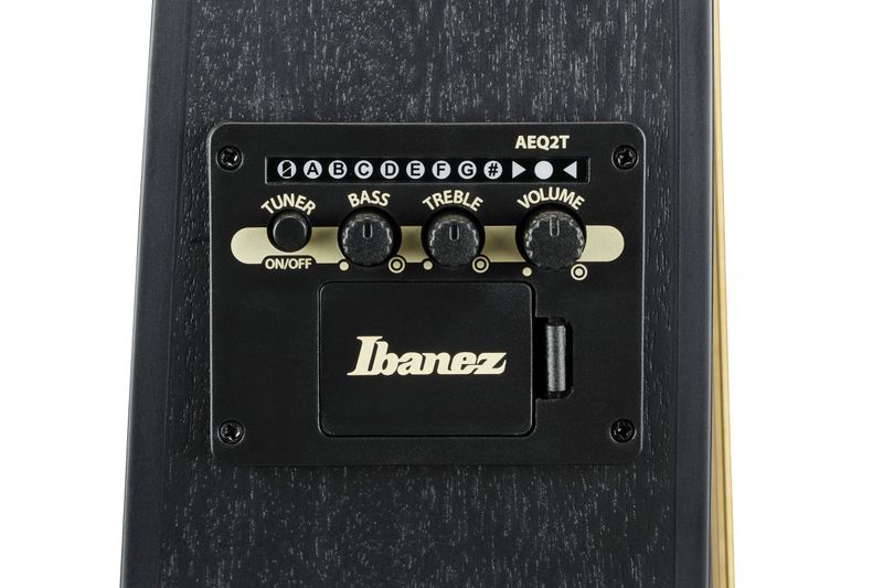 Ibanez TCY621-BOT Western gitar med mik.