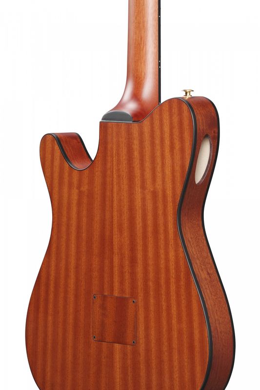 Ibanez FRH10N-IBF Nylonsträngad m.mik, Thin body