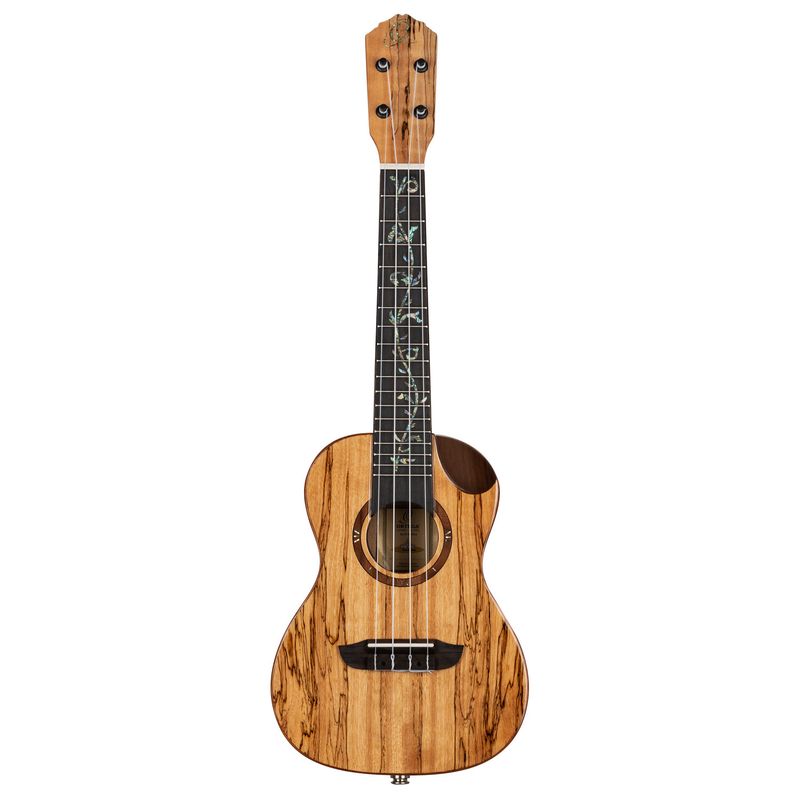 Ortega RUET-SMA Concert ukulele m.mik, o gigbag, Elite, Spalted Maple