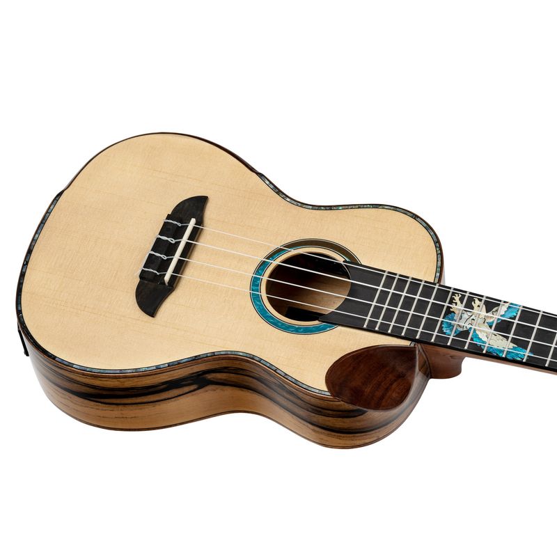 Ortega EAGLESUITE-U Concert ukulele med mik o gigbag, Eagle Suite