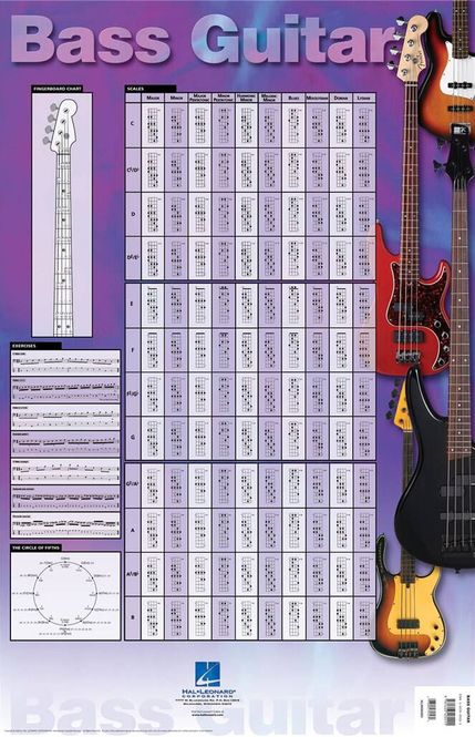 Hovedbilde Bass Guitar Poster