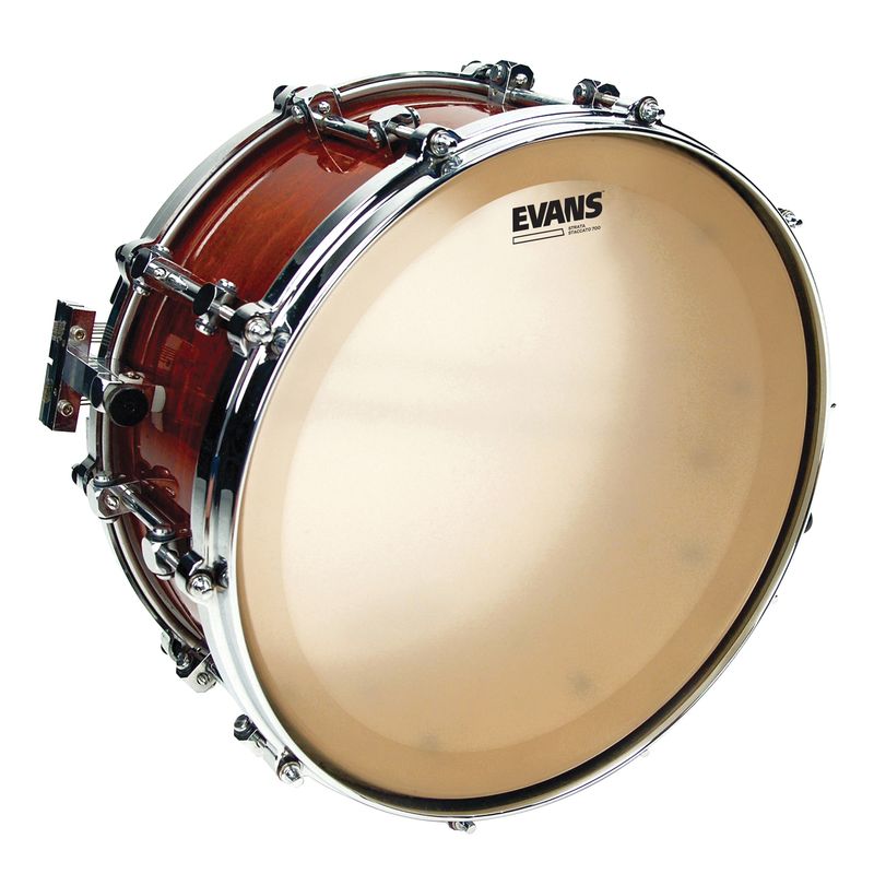 Evans CS14SS Strata Head Staccato 14''
