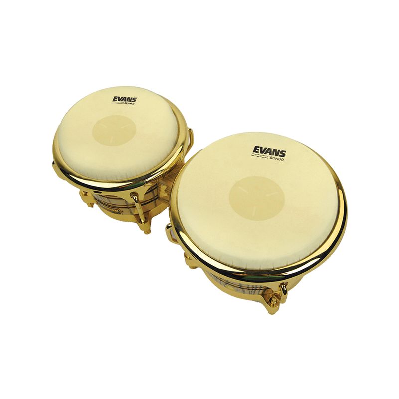 Evans EB0709 Bongoskinn-set