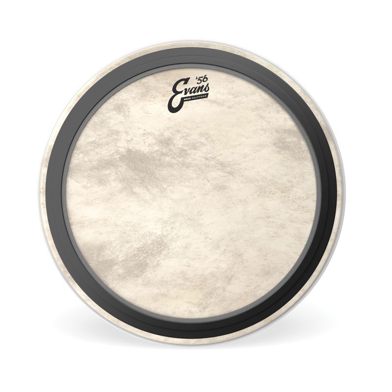 Evans TT16EMADCT 16'' BD/Pukskinn EMAD Calftone