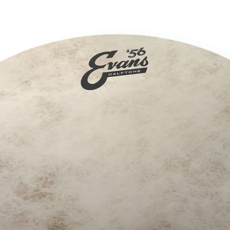 Evans TT13C7 13'' Pukskinn Calftone
