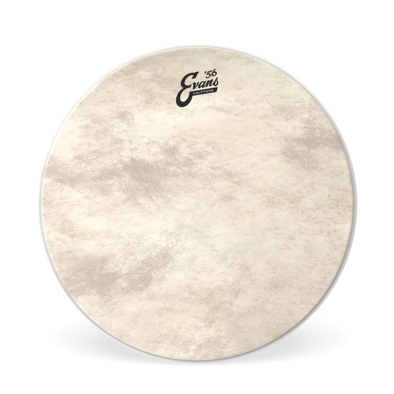 Evans BD16CT 16'' Bastrumskinn Calftone