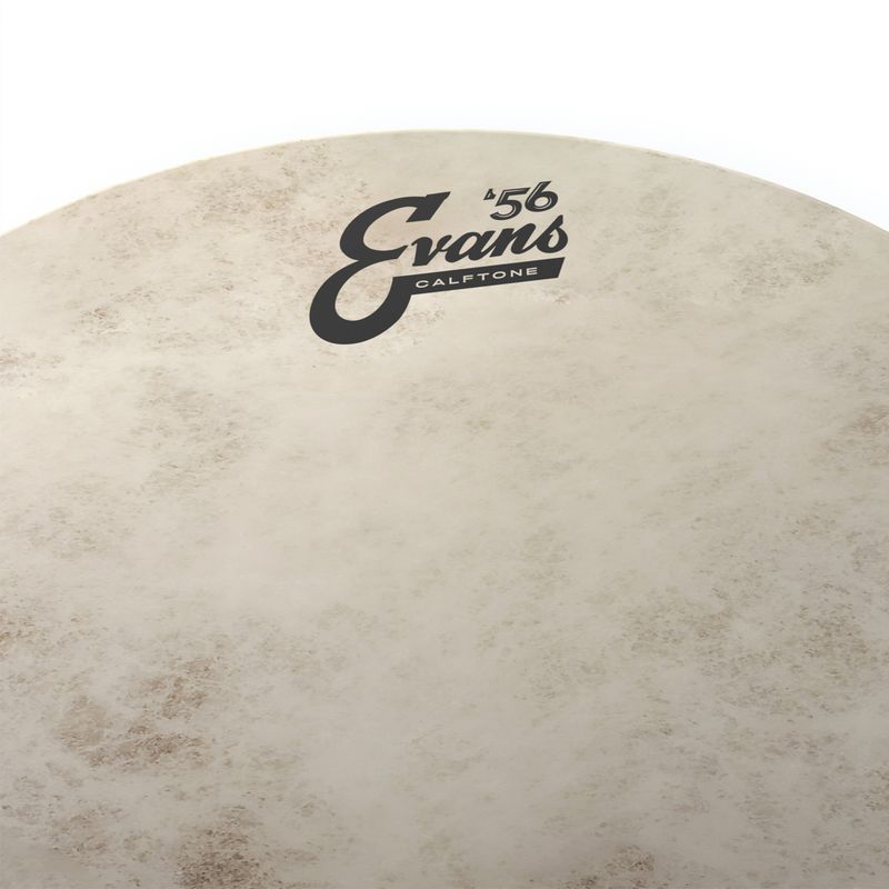 Evans TT16CT 16'' Bastrumskinn Calftone, Tom Hoop