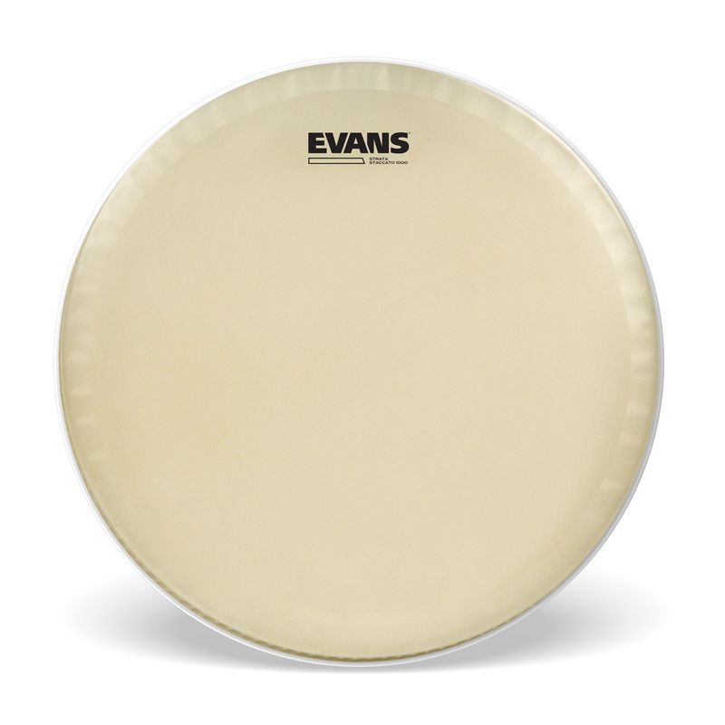 Evans CT14SS Strata Concert Staccato 14''