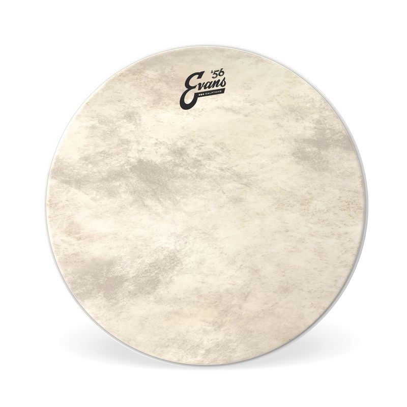 Evans BD18GB4CT 18'' Bastrumskinn EQ4 Calftone