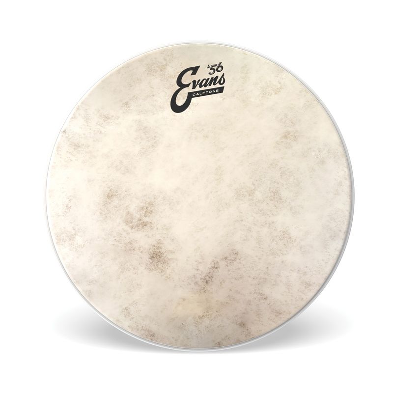 Evans TT15C7 15'' Pukskinn Calftone
