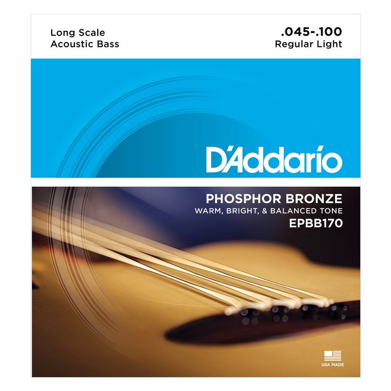 D'Addario EPBB170 Strängset Akustisk Bas Phosphor Bronze 045 - 100
