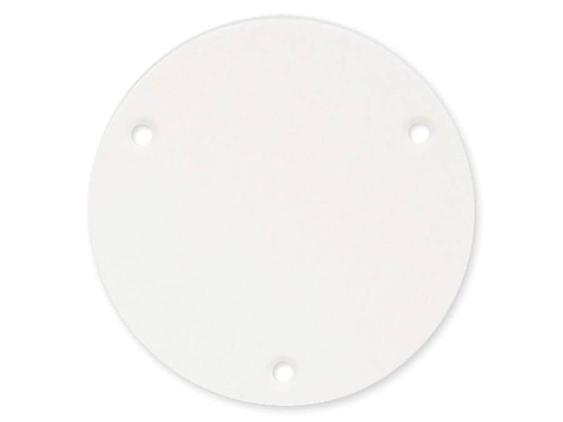 Boston P-101 LP Switch Back Plate - White
