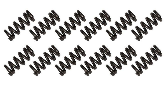 Hovedbilde Boston SPR-10 Tremolo Arm Spring (12-p)