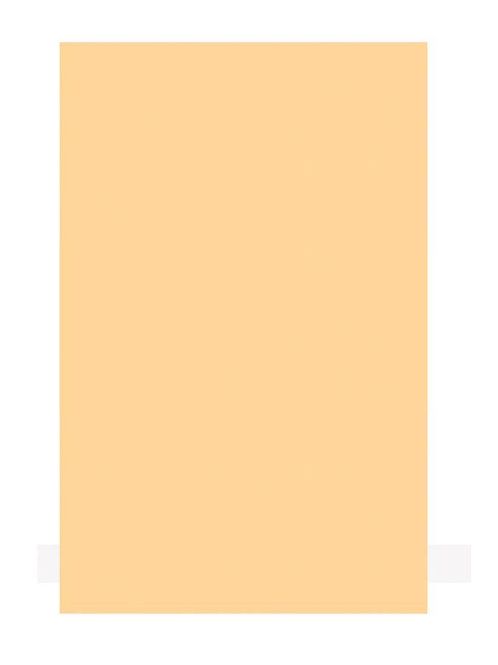 Hovedbilde Boston PG-134-C Pickguard Material 45x29 - Cream