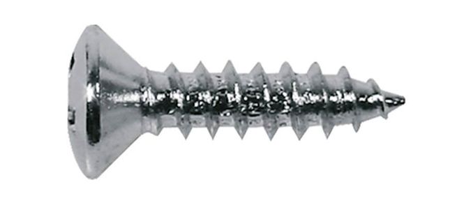 Hovedbilde Boston TS-01-N Screw 3x12 mm (12-p)