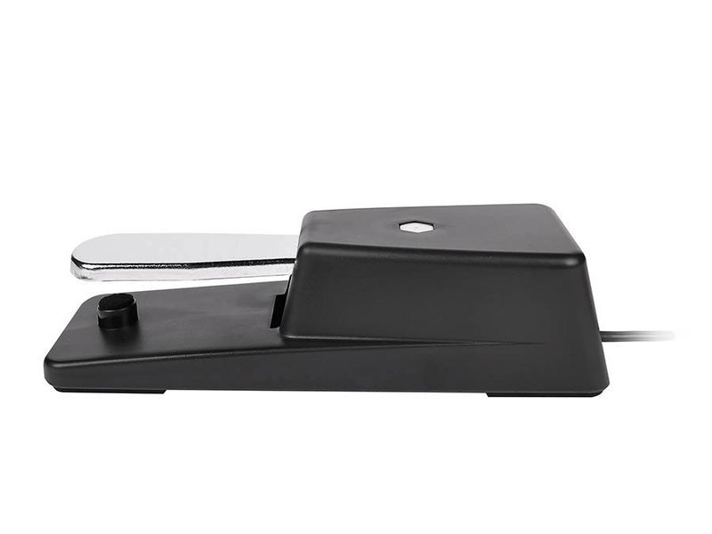 Boston GFS-25 Sustain Pedal