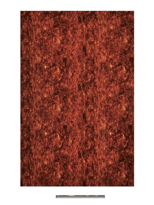 Hovedbilde Boston PG-434-T Pickguard Material 45x29 - Tortoise