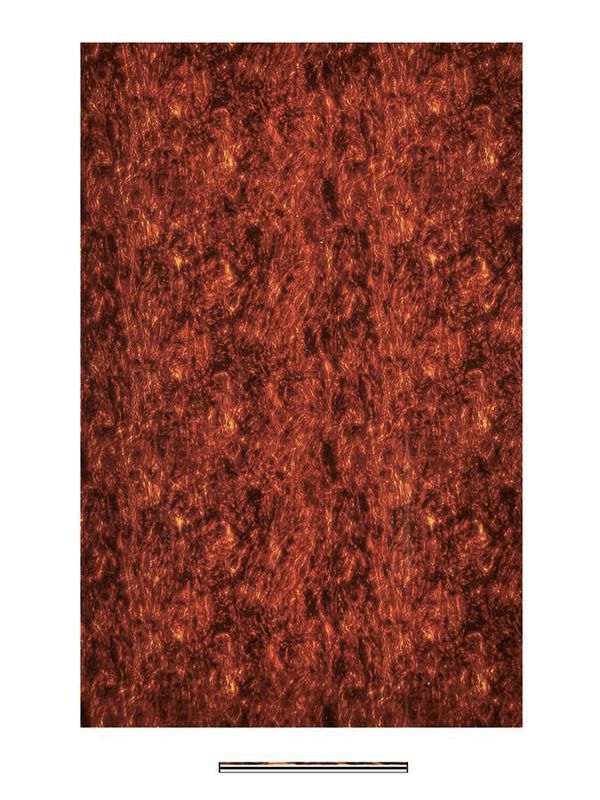 Boston PG-434-T Pickguard Material 45x29 - Tortoise