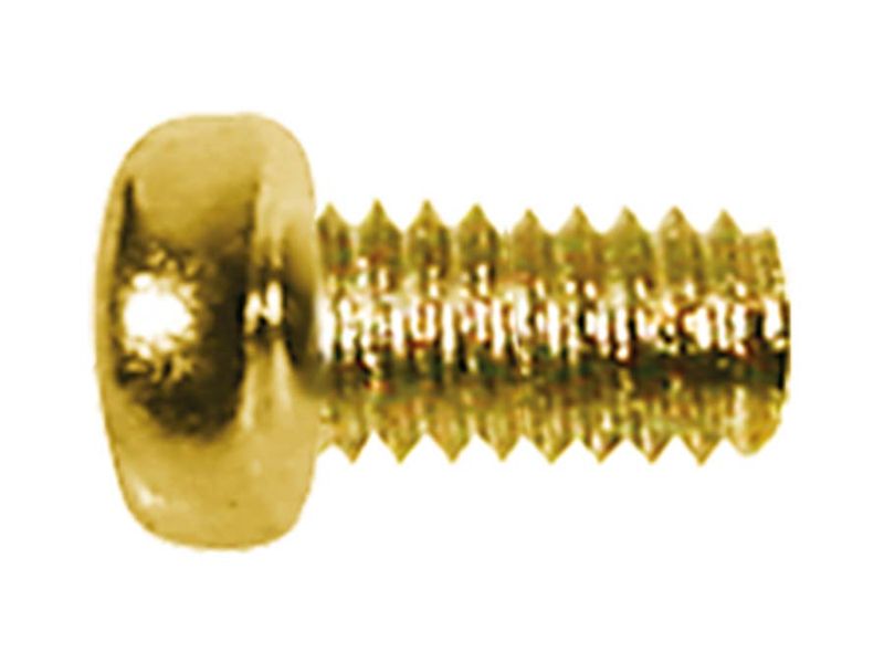 Boston SS-18-G Switch Bolt 3.0 x 5 mm (12-p)