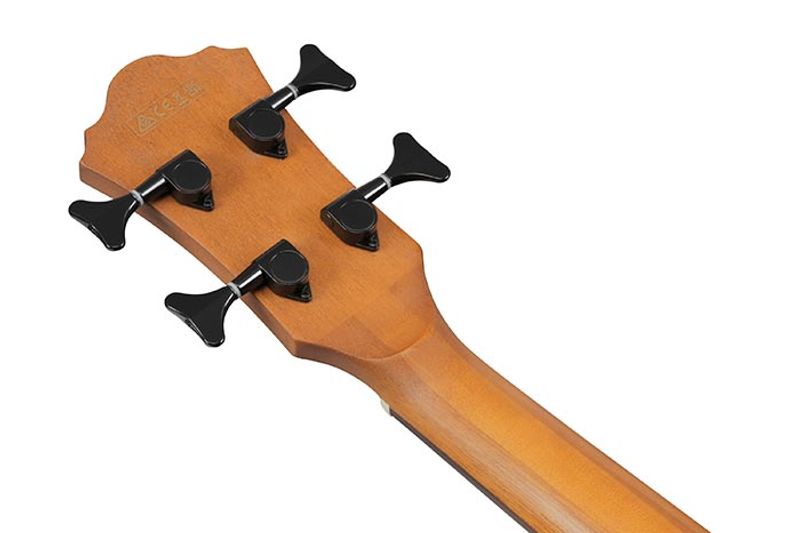 Ibanez AEGB25E-TKH Akustisk bass med mik