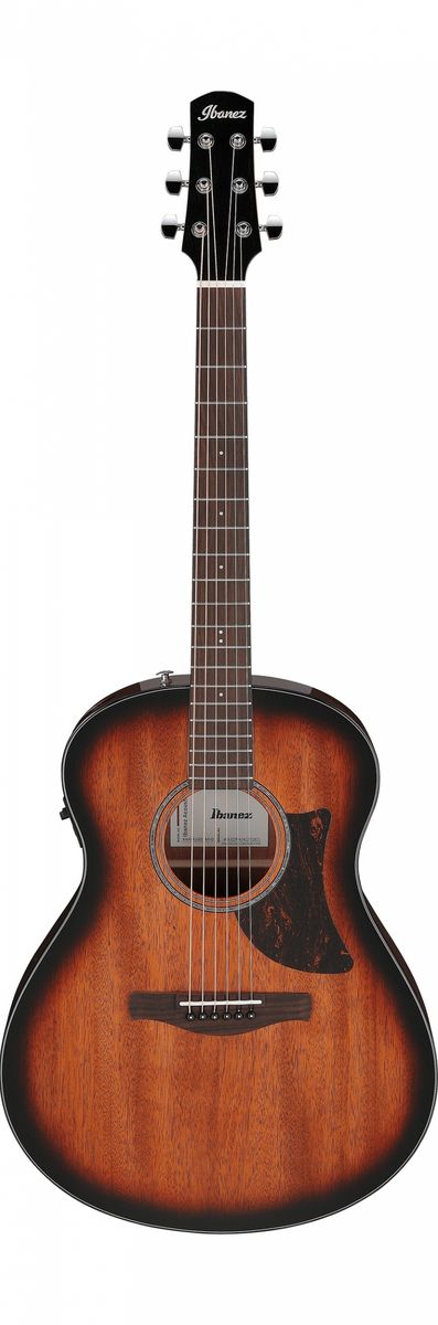 Ibanez AAM140E-MHS Western gitar m.mik, Advanced Auditorium