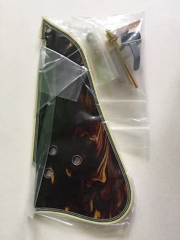 Ibanez 4PG1GB10 Plektrumskydd GB10 Tortoise shell