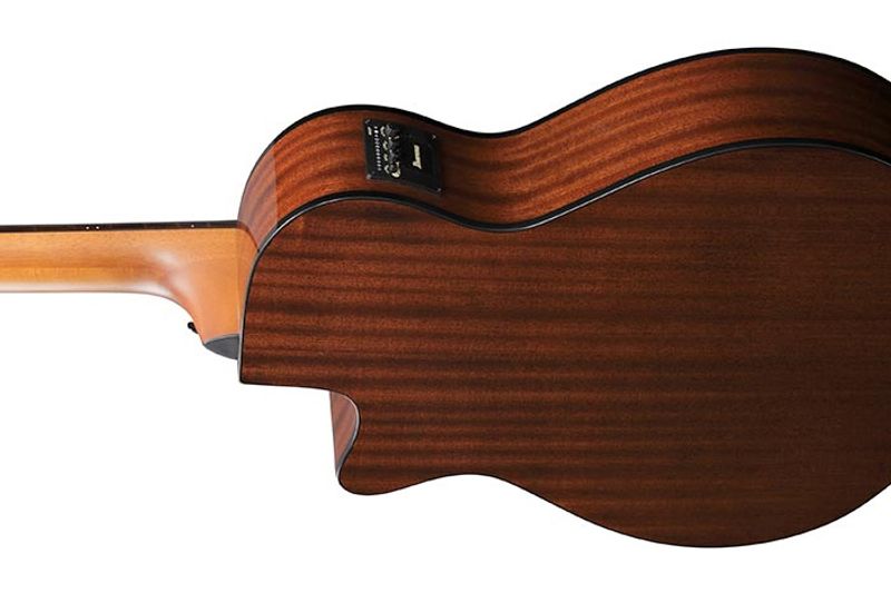 Ibanez AEGB25E-TKH Akustisk bass med mik