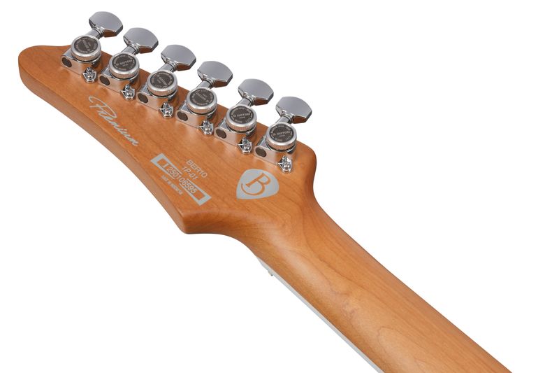 Ibanez BER10 Elgitar med gigbag,  Bernth Signatur