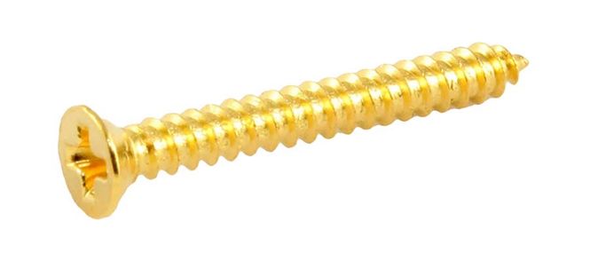 Hovedbilde Allparts Bulk Pack of Humbucking Ring Screws Gold ...