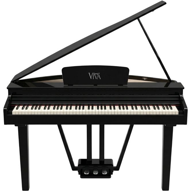 Hovedbilde Viva Grand II el-flygel