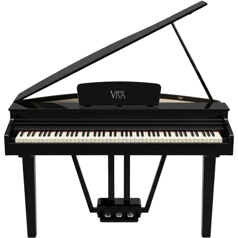 Viva Grand II el-flygel