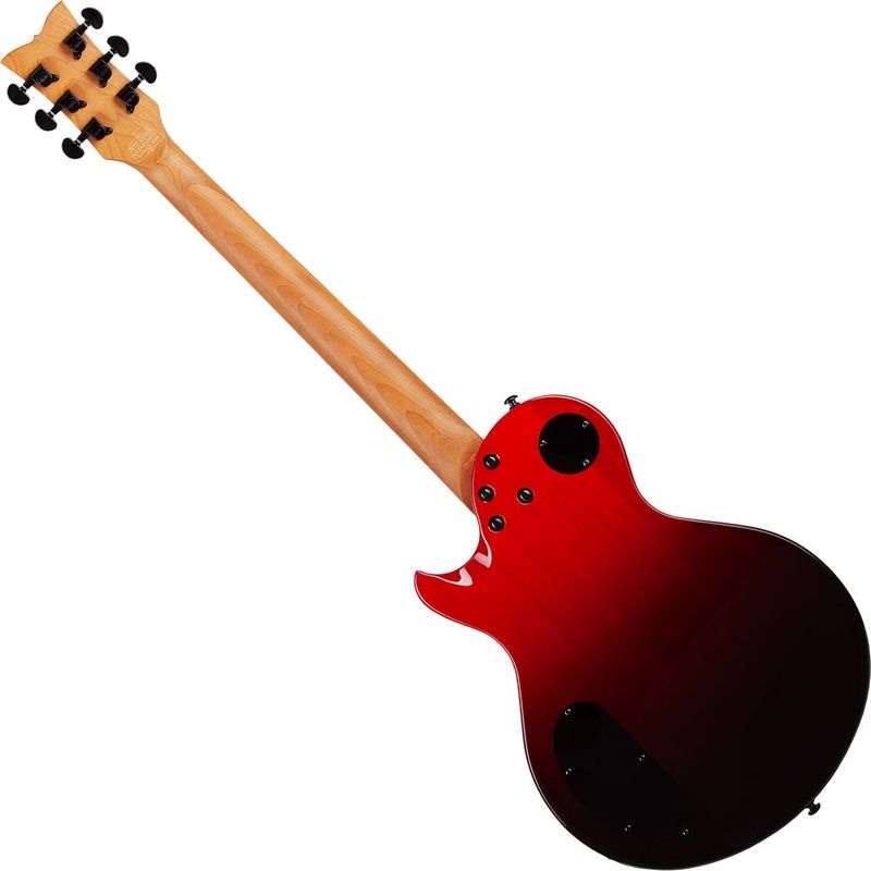 Schecter SOLO-II STANDARD BLOODBURST BB