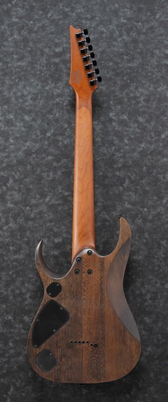 Ibanez RGD7521PB-DSF 7-strenger