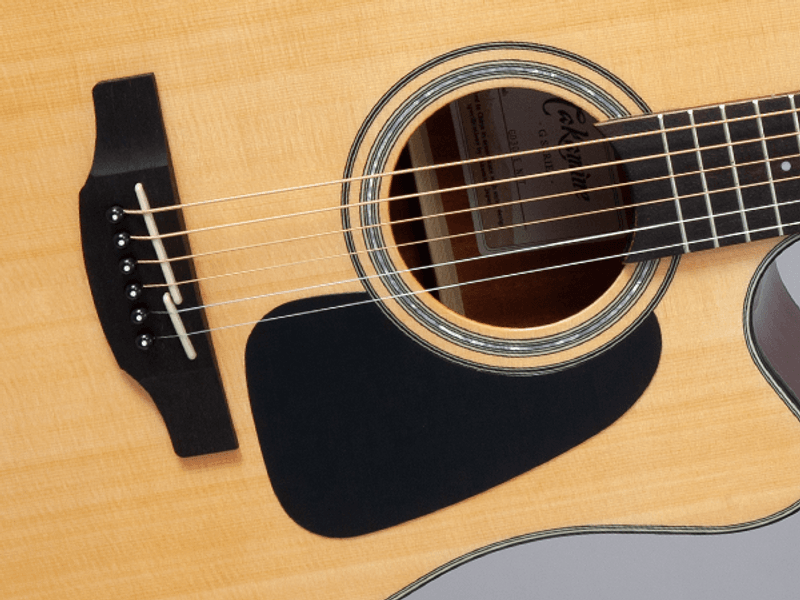 TAKAMINE GD30CE-NAT Natural
