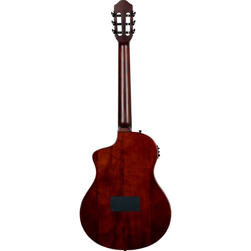 Ortega TourPlayer Series RTPSTD-NAT Gloss Natural
