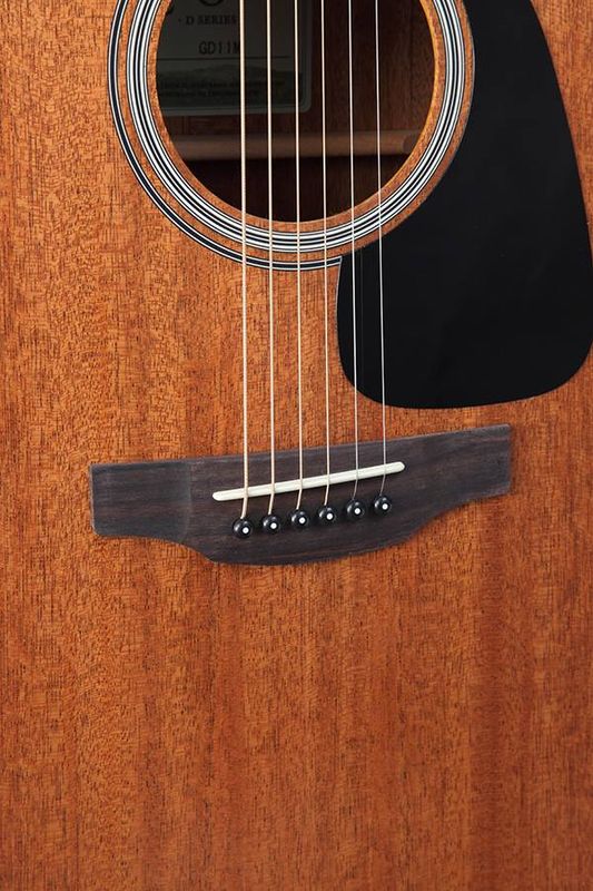 Takamine GD11M-NS