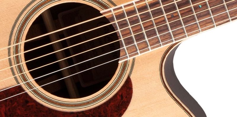 Takamine GD93CE-NAT