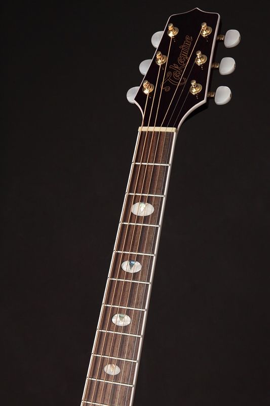 Takamine GN75CE Wine Red