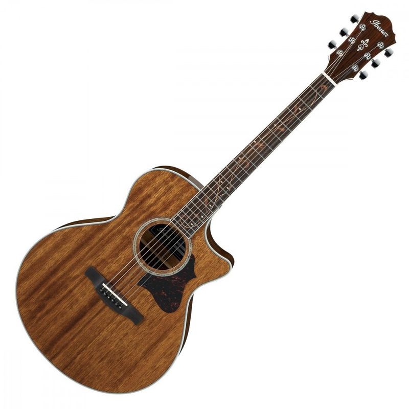 Ibanez AE245 Natur