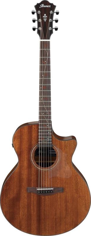 Ibanez AE295-LGS Low Gloss Finish