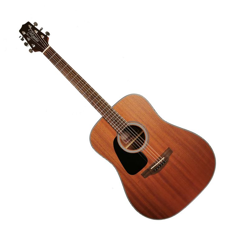 Takamine GD11M-NS-L