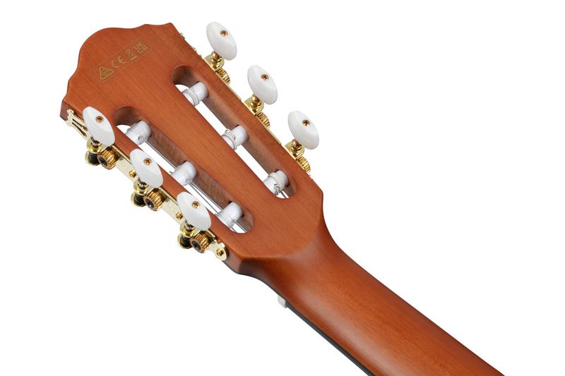 Ibanez FRH10N-NTF Thin Body Natur 